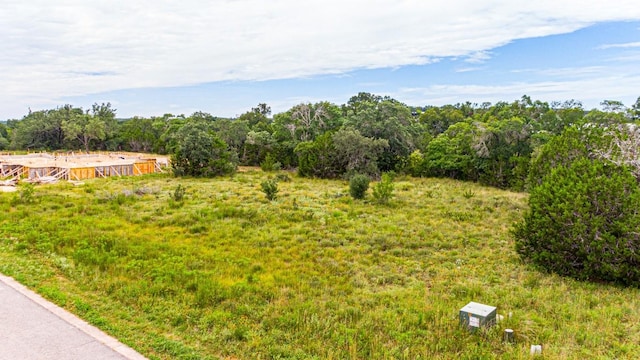 440 Onion Creek Ln, Driftwood, TX 78619 - photo 18