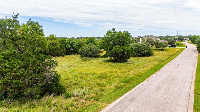 440 Onion Creek Ln, Driftwood, TX 78619 - photo 20