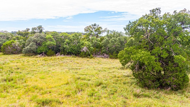 440 Onion Creek Ln, Driftwood, TX 78619 - photo 21