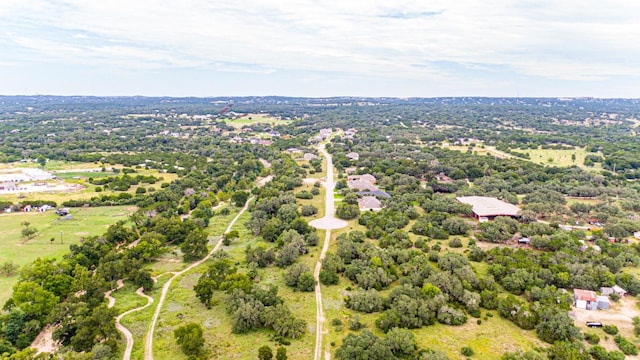 440 Onion Creek Ln, Driftwood, TX 78619 - photo 9