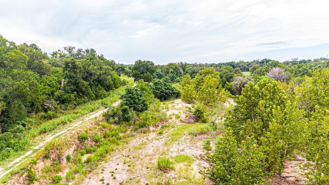 440 Onion Creek Ln, Driftwood, TX 78619 - photo 26
