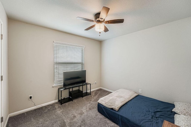 429 Rusk Bluff Ave, Leander, TX 78641 - photo 19
