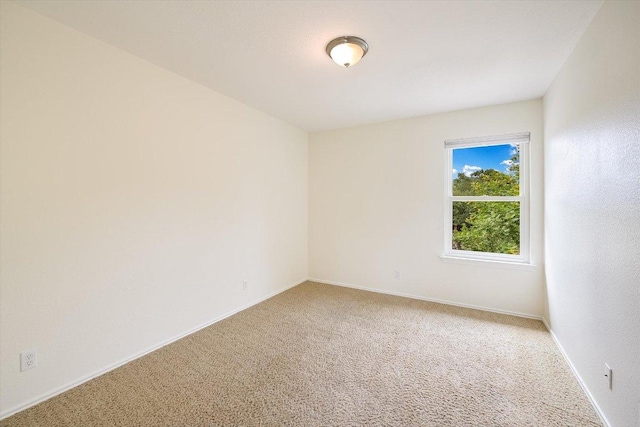 9105 Hazelhurst Dr, Austin, TX 78729 - photo 13