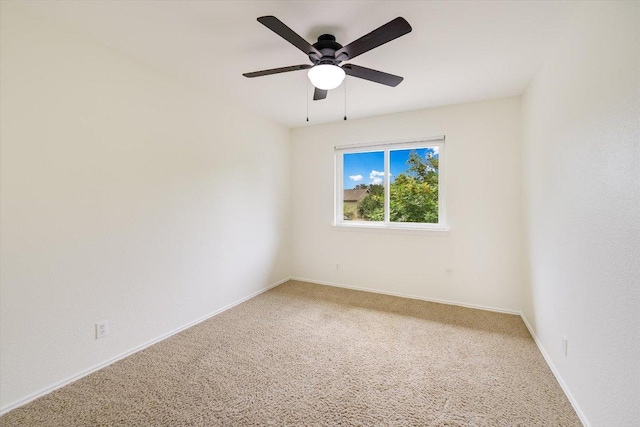 9105 Hazelhurst Dr, Austin, TX 78729 - photo 12