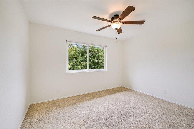 9105 Hazelhurst Dr, Austin, TX 78729 - photo 16