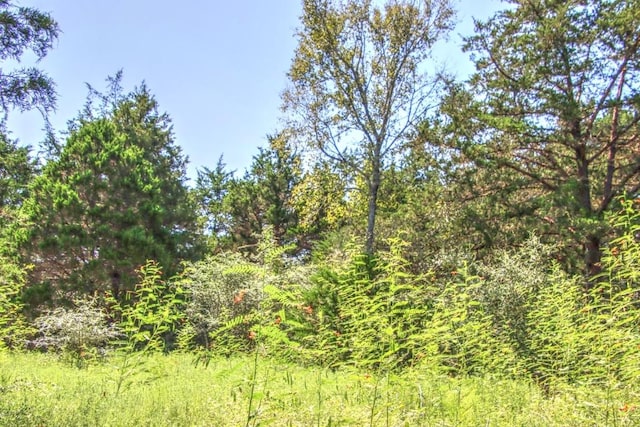 0 Hellinger Rd, Flatonia, TX 78941 - photo 1