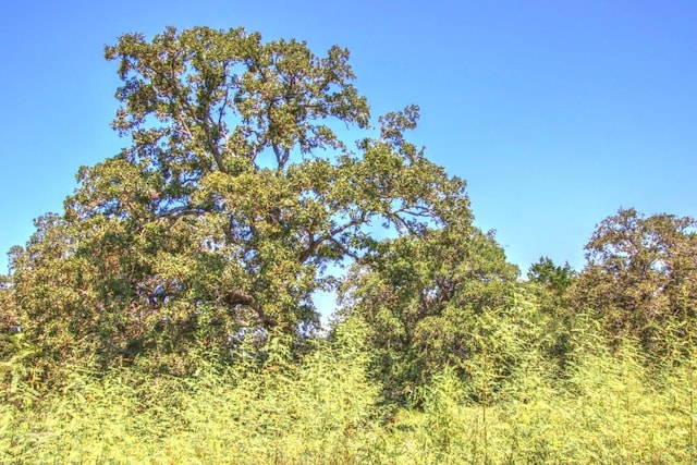 0 Hellinger Rd, Flatonia, TX 78941 - photo 2