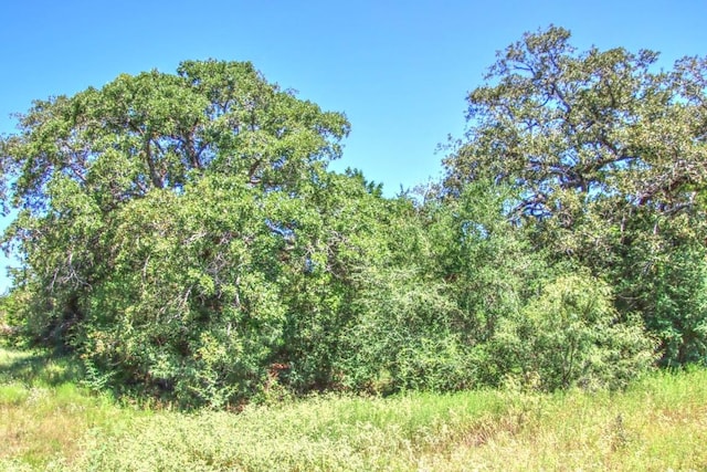 0 Hellinger Rd, Flatonia, TX 78941 - photo 3