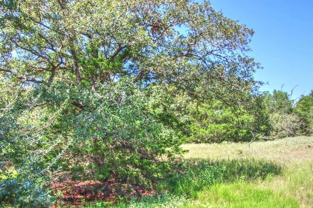 0 Hellinger Rd, Flatonia, TX 78941 - photo 4