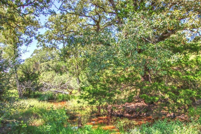 0 Hellinger Rd, Flatonia, TX 78941 - photo 5