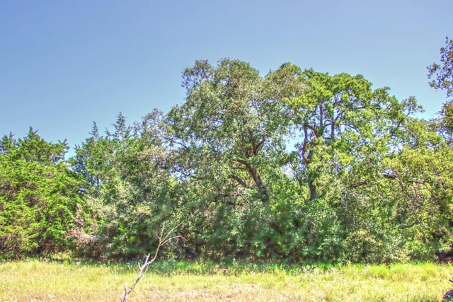 0 Hellinger Rd, Flatonia, TX 78941 - photo 6