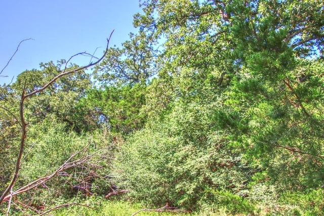 0 Hellinger Rd, Flatonia, TX 78941 - photo 7