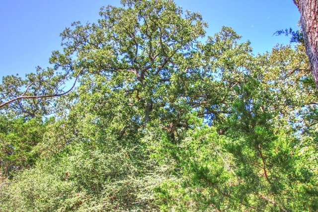 0 Hellinger Rd, Flatonia, TX 78941 - photo 8