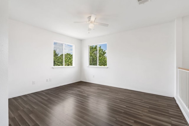 1131 Stone Forest Trl, Round Rock, TX 78681 - photo 22