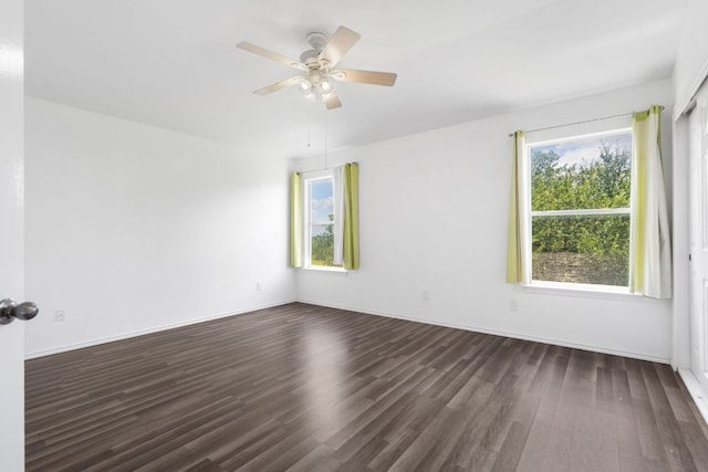 1131 Stone Forest Trl, Round Rock, TX 78681 - photo 24