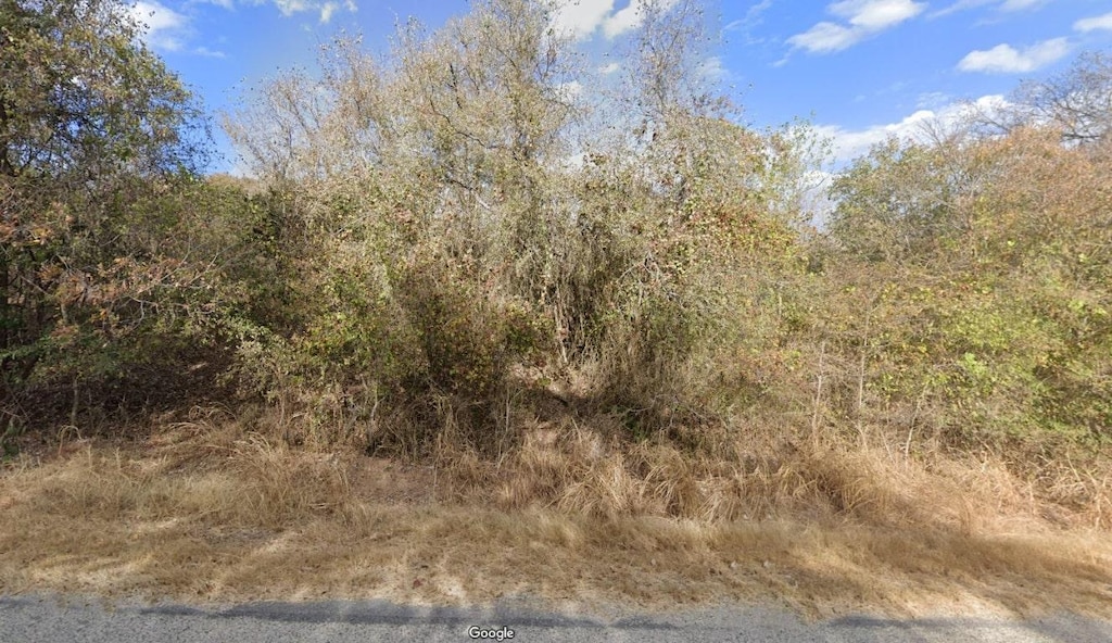 268 W Riverside Dr, Bastrop, TX 78602 - photo 1