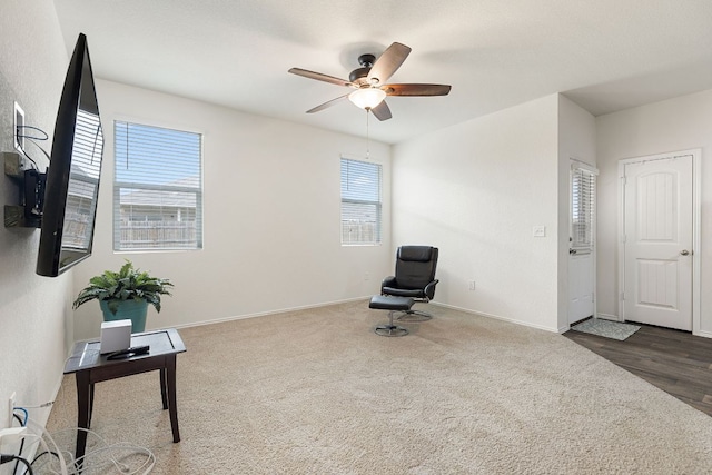 3606 Chappie Ln, Austin, TX 78725 - photo 8