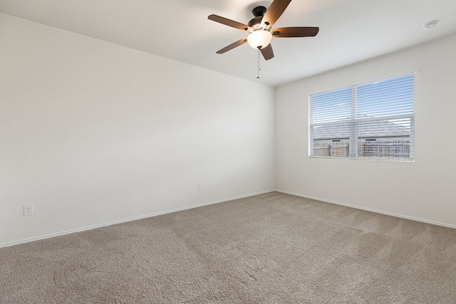 3606 Chappie Ln, Austin, TX 78725 - photo 10