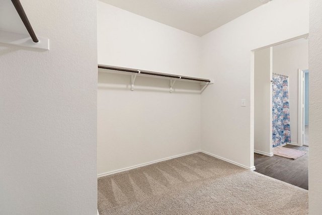 3606 Chappie Ln, Austin, TX 78725 - photo 14