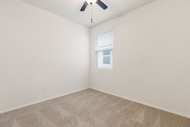 3606 Chappie Ln, Austin, TX 78725 - photo 15