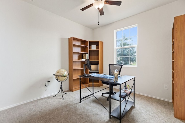 3606 Chappie Ln, Austin, TX 78725 - photo 18
