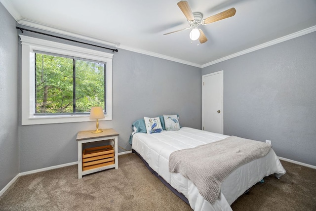 1709 Krizan Ave, Austin, TX 78727 - photo 23