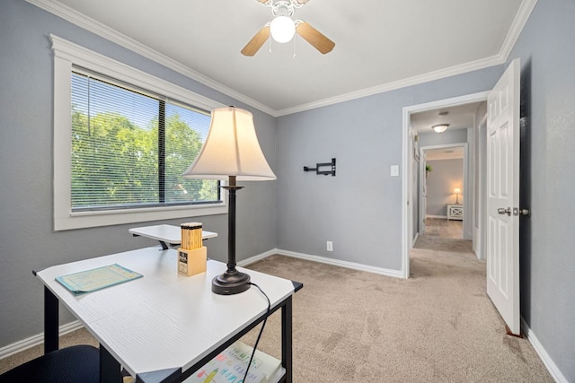 1709 Krizan Ave, Austin, TX 78727 - photo 28