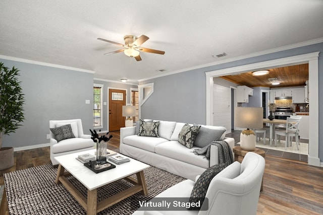 1709 Krizan Ave, Austin, TX 78727 - photo 4