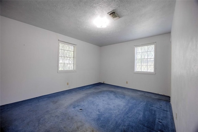 208 Matula Ave, Schulenburg, TX 78956 - photo 12