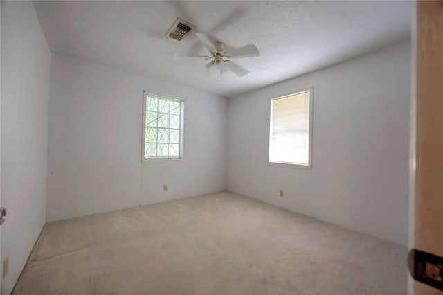 208 Matula Ave, Schulenburg, TX 78956 - photo 16