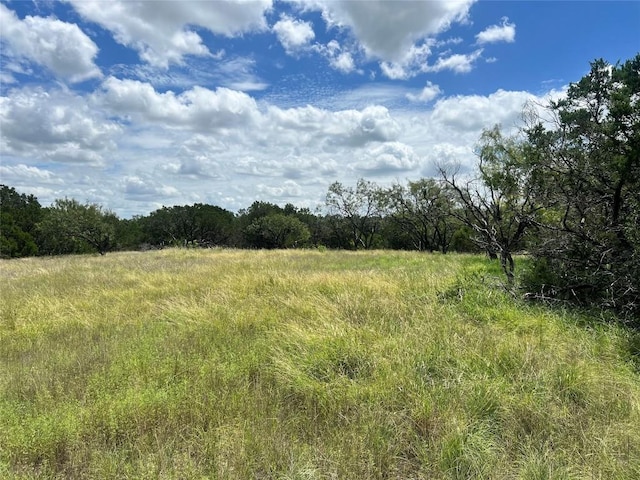 2452 Stone Creek Ranch Dr, Evant, TX 76525 - photo 6