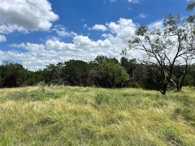 2452 Stone Creek Ranch Dr, Evant, TX 76525 - photo 8