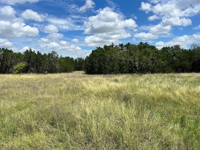 2452 Stone Creek Ranch Dr, Evant, TX 76525 - photo 9