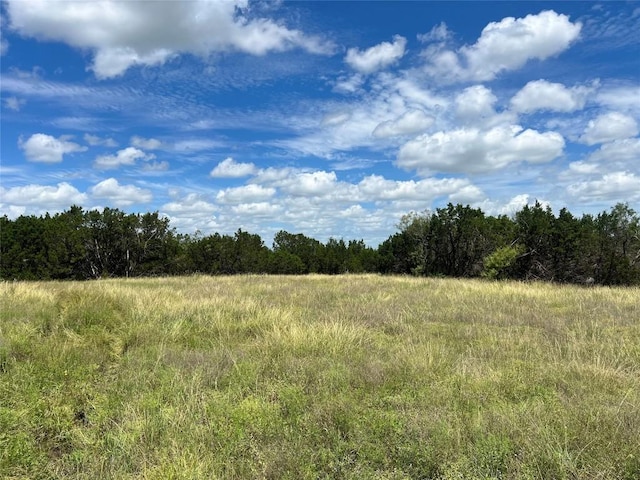 2452 Stone Creek Ranch Dr, Evant, TX 76525 - photo 10