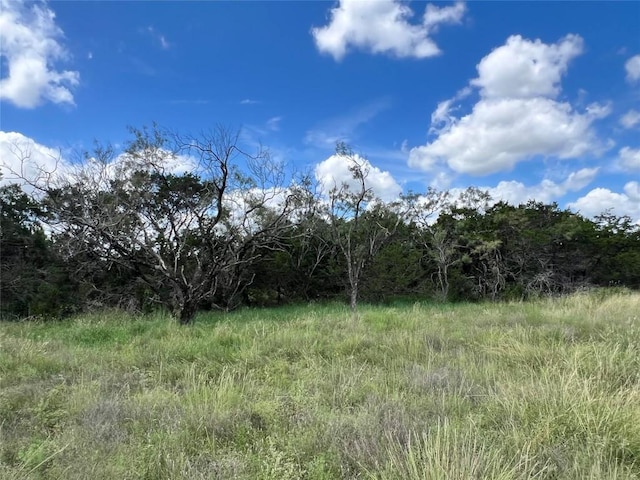 2452 Stone Creek Ranch Dr, Evant, TX 76525 - photo 11