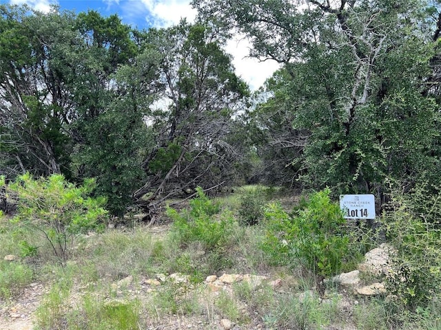 2452 Stone Creek Ranch Dr, Evant, TX 76525 - photo 13