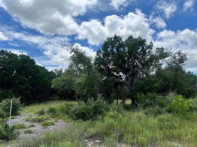 2452 Stone Creek Ranch Dr, Evant, TX 76525 - photo 16
