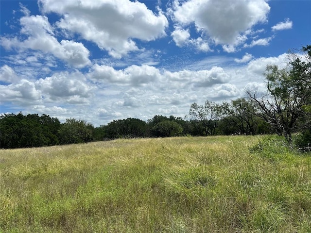 2452 Stone Creek Ranch Dr, Evant, TX 76525 - photo 2
