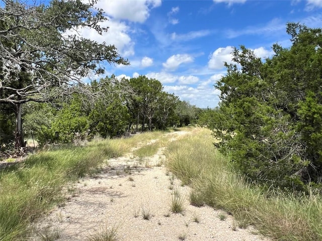 2452 Stone Creek Ranch Dr, Evant, TX 76525 - photo 3