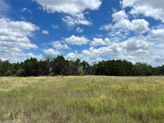 2452 Stone Creek Ranch Dr, Evant, TX 76525 - photo 5