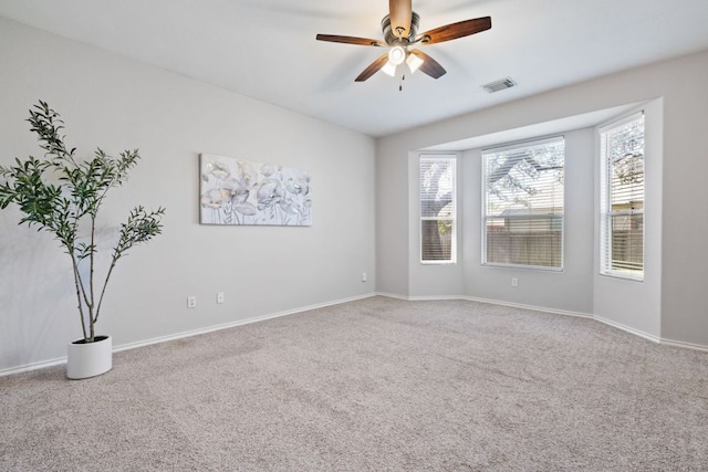 3721 Pine Needle Cir, Round Rock, TX 78681 - photo 20