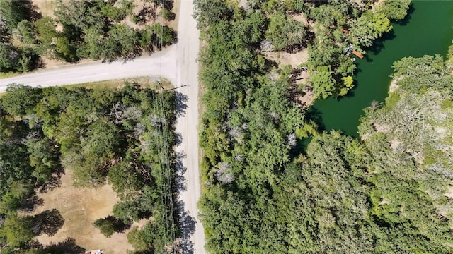 404 Akaloa Dr, Bastrop, TX 78602 - photo 4