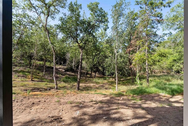 150 Palikea Ct, Bastrop, TX 78602 - photo 27