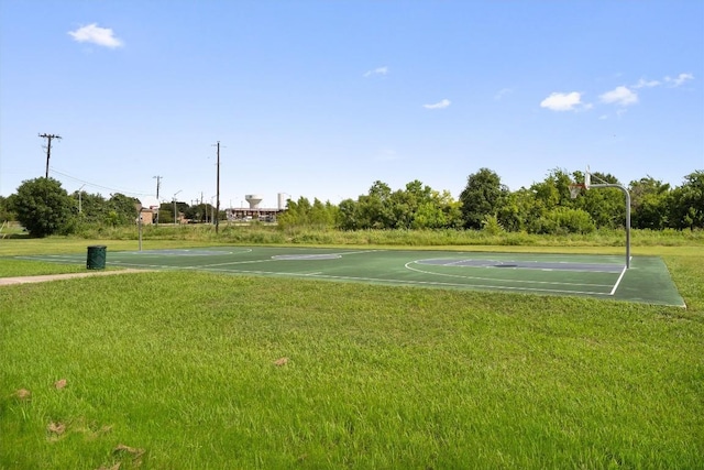1303 Sweet William Ln, Pflugerville, TX 78660 - photo 39