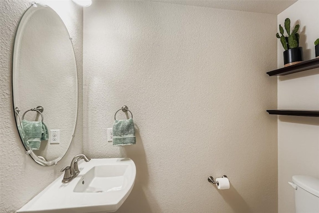 409 Briar Park Dr, Georgetown, TX 78626 - photo 16