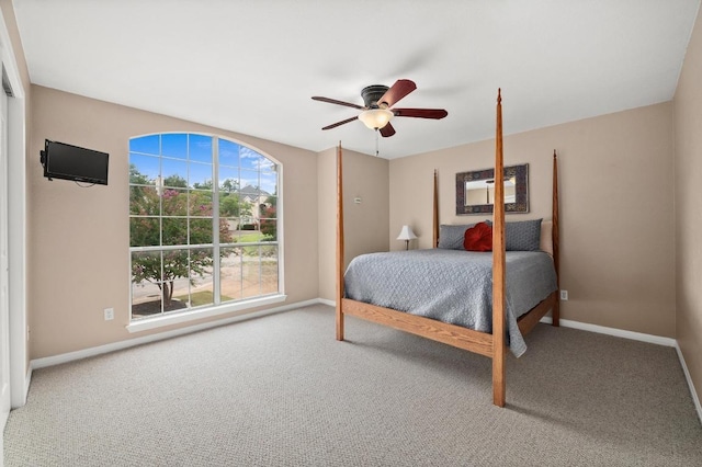 12406 Carlsbad, Austin, TX 78738 - photo 33