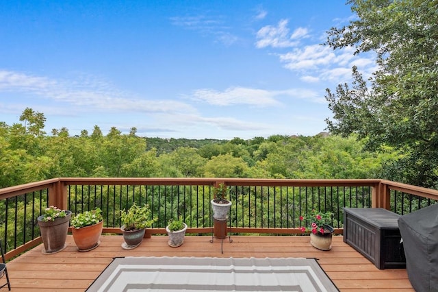 12406 Carlsbad, Austin, TX 78738 - photo 1