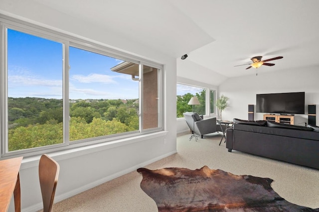 12406 Carlsbad, Austin, TX 78738 - photo 8