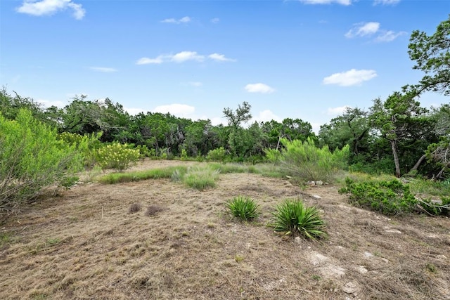 10707 Indian Scout Trl, Austin, TX 78736 - photo 15