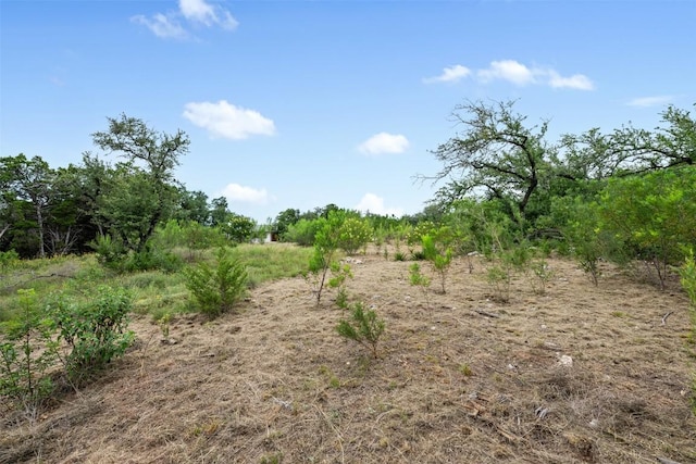 10707 Indian Scout Trl, Austin, TX 78736 - photo 17